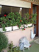 Monica89immobiliare - 22/29